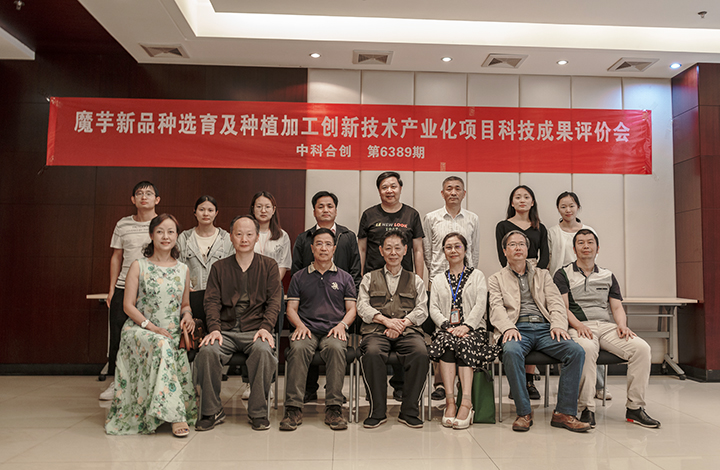 魔芋新品种选育及种植加工创新技术产业化 anli.jpg